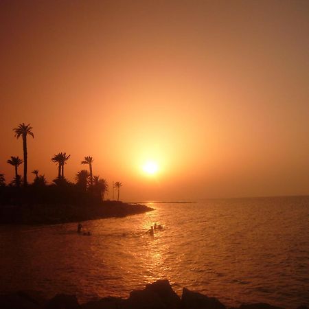 Hotel Les Palmiers Monastir Esterno foto